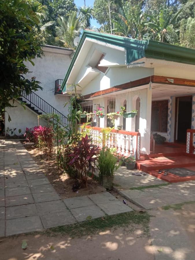 Charming View Homestay Ella Εξωτερικό φωτογραφία