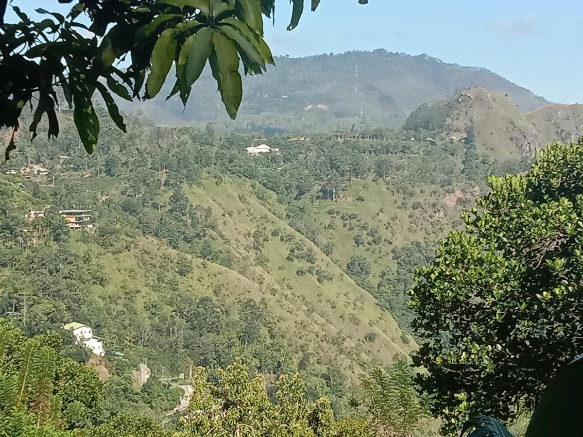 Charming View Homestay Ella Εξωτερικό φωτογραφία