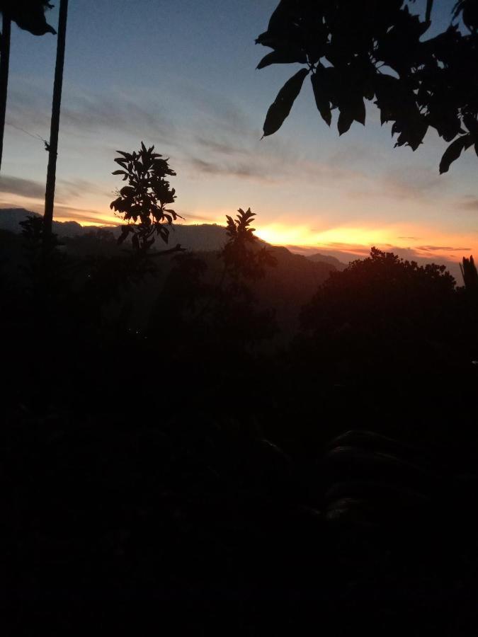 Charming View Homestay Ella Εξωτερικό φωτογραφία