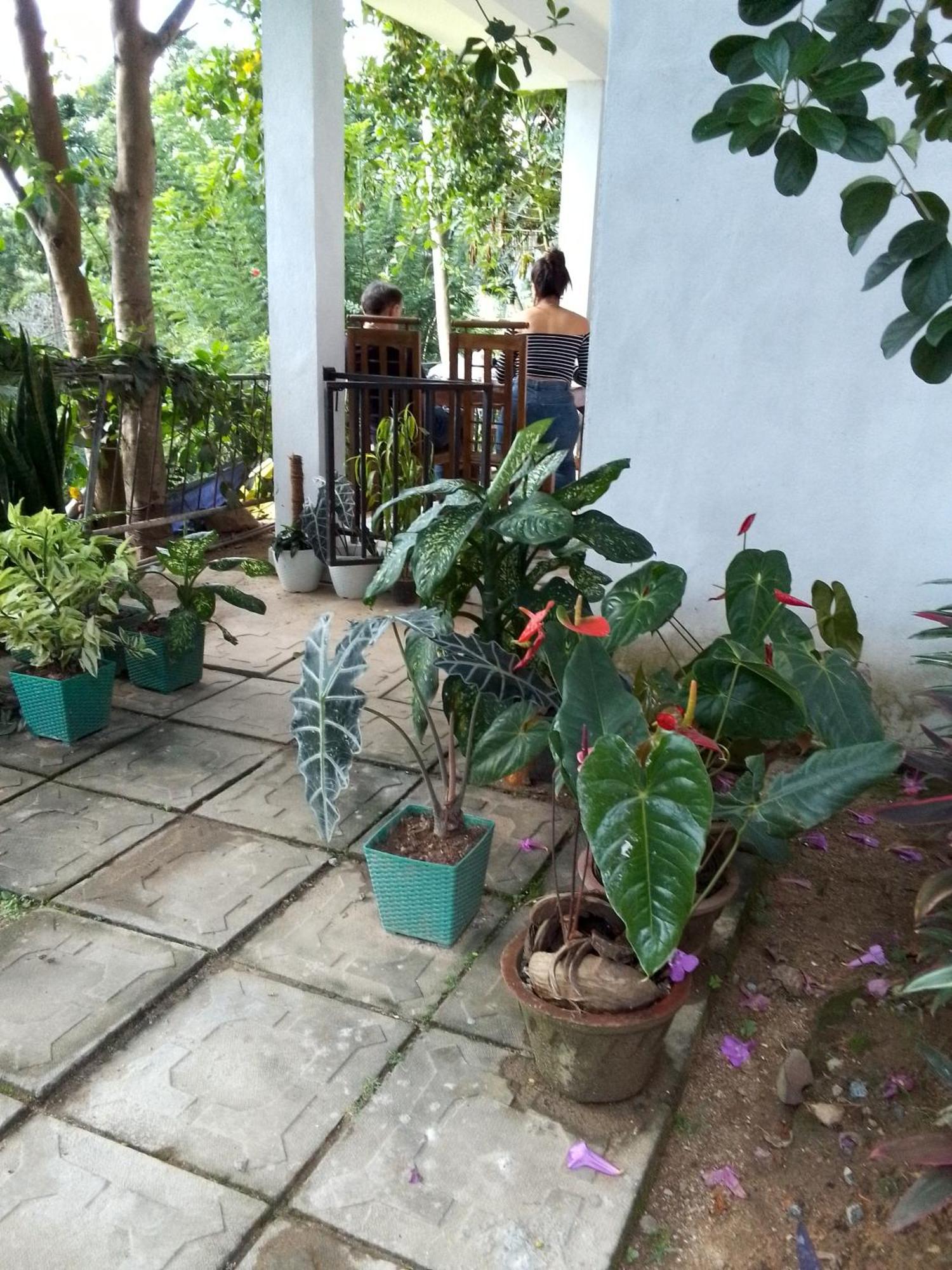Charming View Homestay Ella Δωμάτιο φωτογραφία