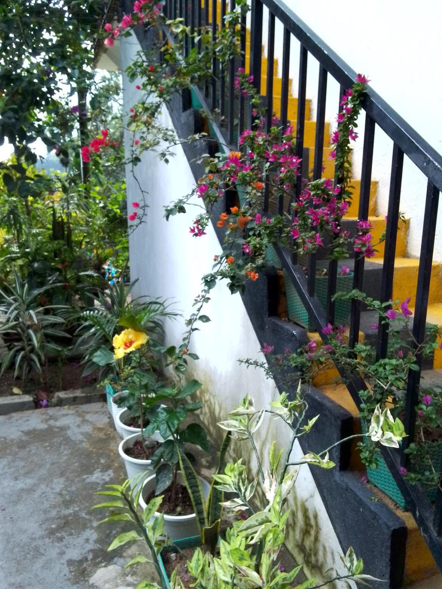Charming View Homestay Ella Εξωτερικό φωτογραφία